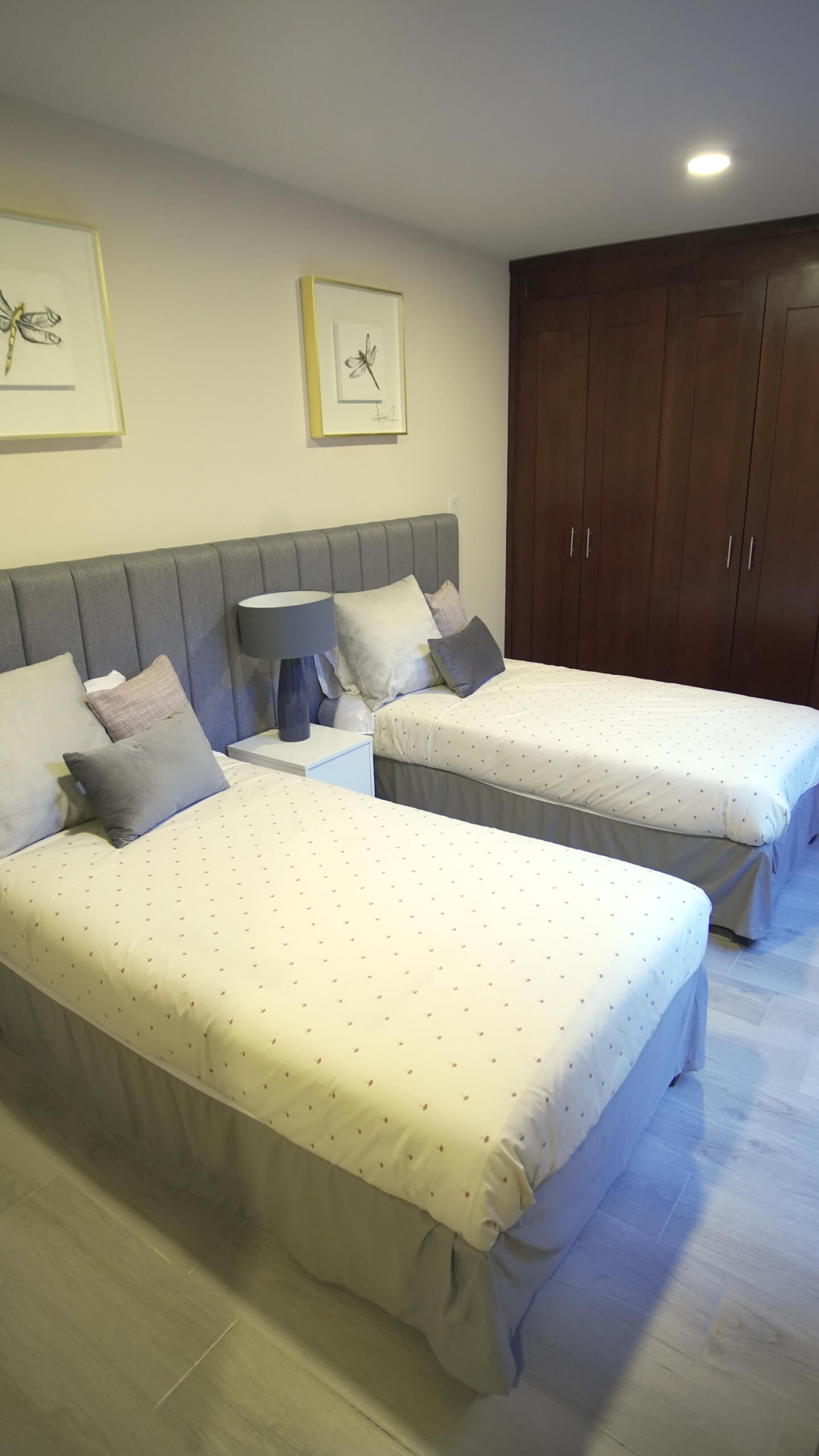 gsr gallery lavanda 05